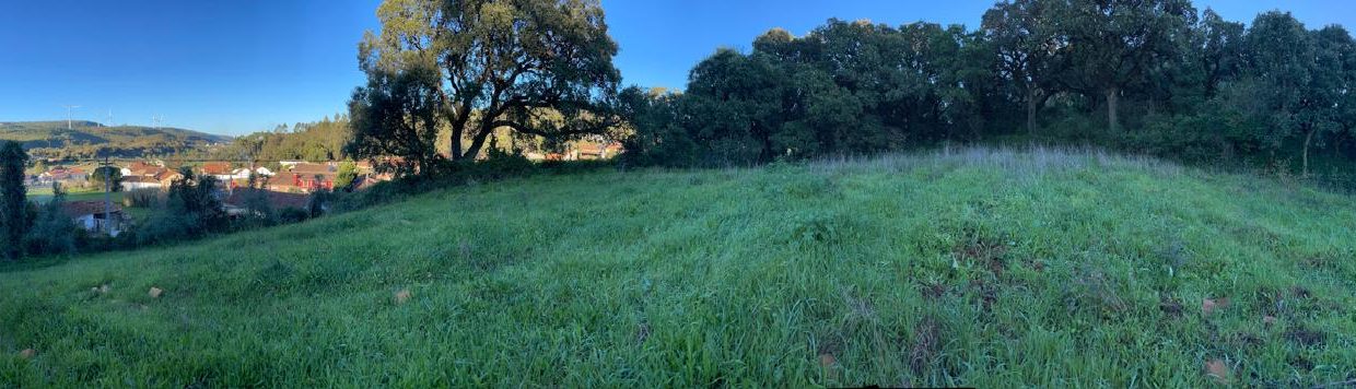 WhatsApp Image 2026-01-13 at 14.52.13