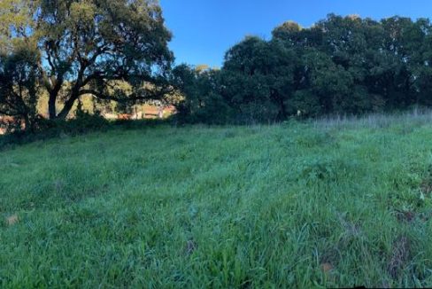 WhatsApp Image 2026-01-13 at 14.52.13