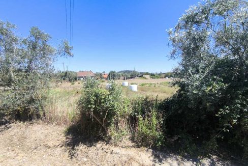 K1024_IMG_20260806_150629
